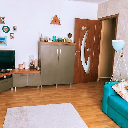 Cozy Apartment Bukovina Suceava Exterior photo